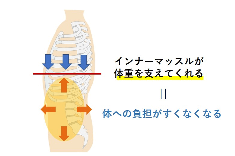 インナーマッスルが体重をささえる＝体の負担がすくない